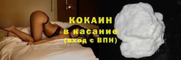 прущие грибы Покачи