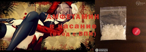 прущие грибы Покачи