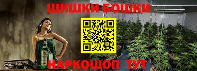 гидра Заводоуковск