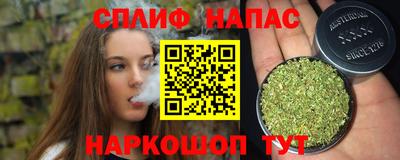 гидра Заводоуковск