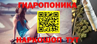 гидра Заводоуковск