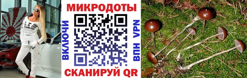 Псилоцибиновые грибы прущие грибы  Корсаков 