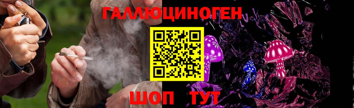 Псилоцибиновые грибы ЛСД  Псилоцибиновые грибы GOLDEN TEACHER  Корсаков  Вход с VPN 