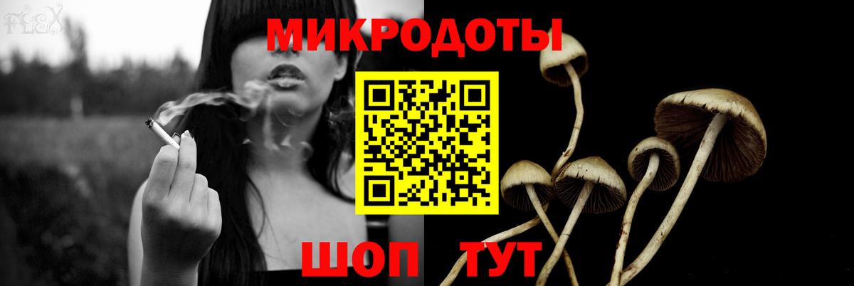 Псилоцибиновые грибы Psilocybe  Корсаков  Псилоцибиновые грибы прущие грибы 